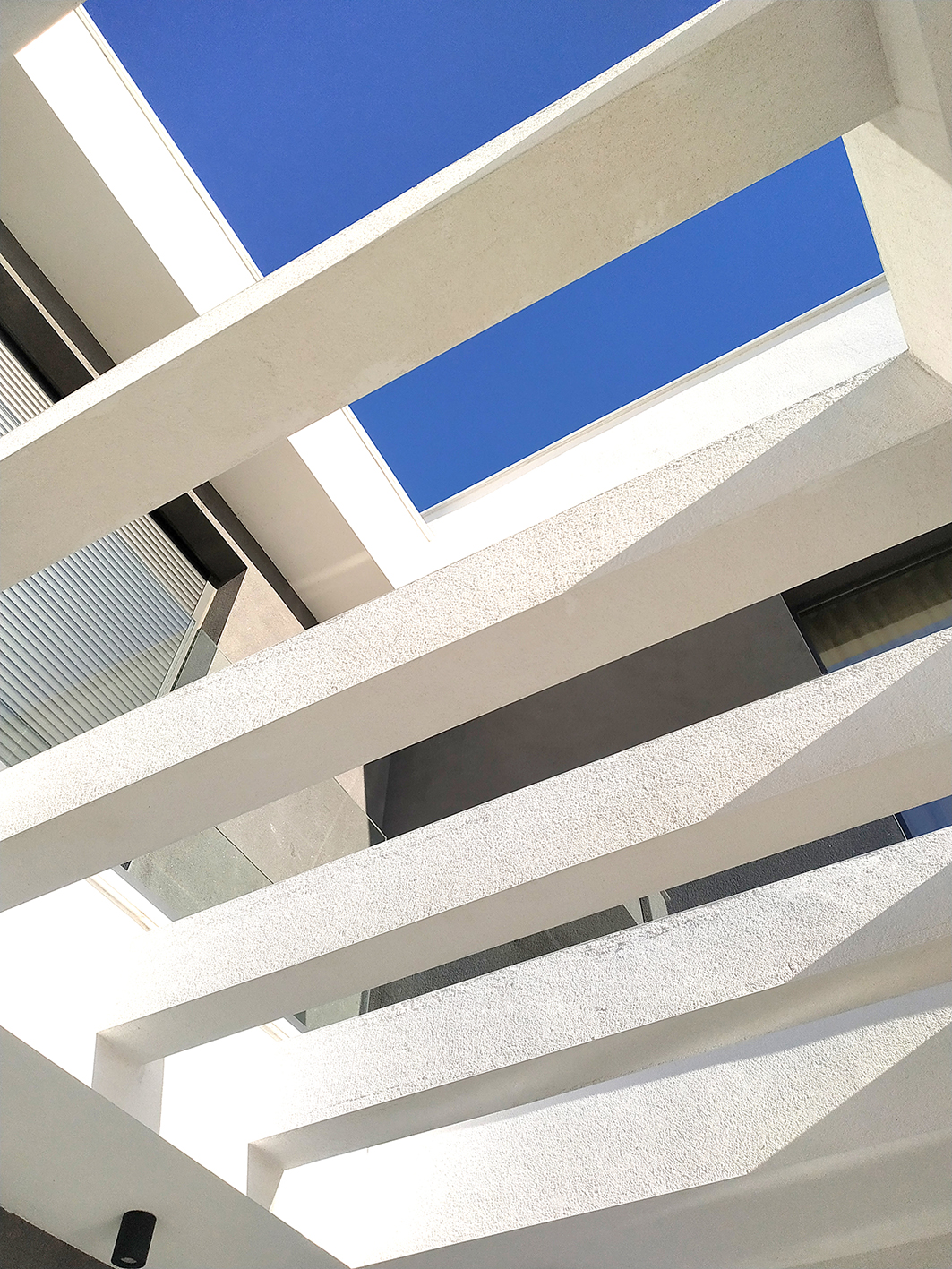 2020-01-31_Imagen 06